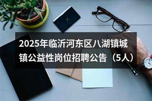 2025年临沂河东区八湖镇城镇公益性岗位招聘公告（5人） 图片