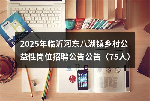 2025年临沂河东八湖镇乡村公益性岗位招聘公告公告（75人） 图片