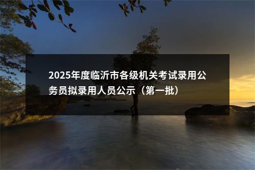 2025年度临沂市各级机关考试录用公务员拟录用人员公示（第一批） 图片