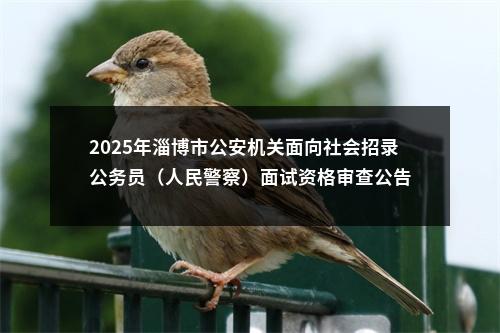 2025年淄博市公安机关面向社会招录公务员（人民警察）面试资格审查公告 图片
