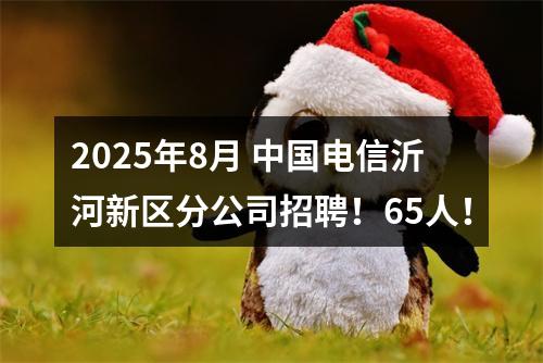 2025年8月 中国电信沂河新区分公司招聘！65人！ 图片