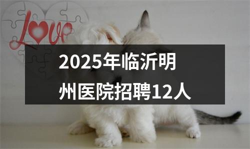 2025年临沂明州医院招聘12人 图片