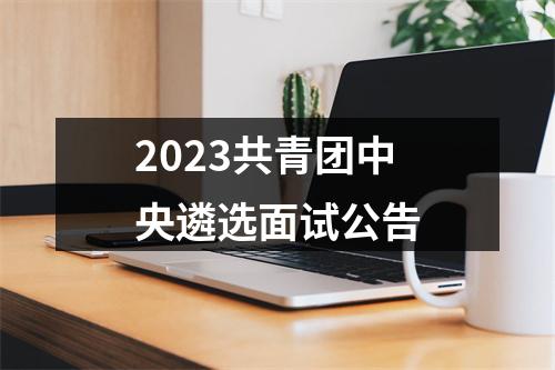 2023共青团中央遴选面试公告 图片