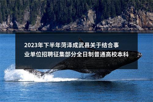 2023年下半年菏泽成武县关于结合事业单位招聘征集部分全日制普通高校本科（理工类）及以上学历毕业生入伍简章（8人） 图片